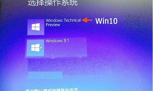 win8.1双系统_双系统win8装win7