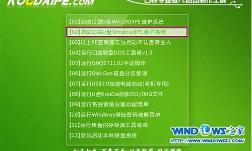 萝卜家园windows xp_萝卜家园xp系统安装步骤