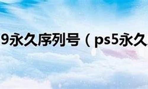 ps5永久序列号_ps5 序列号