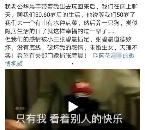 吃瓜娱乐营销号,揭秘娱乐圈幕后营销大揭秘